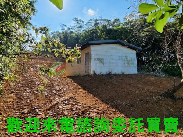 新北三芝農地-0