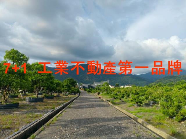 屏東高樹農地-5