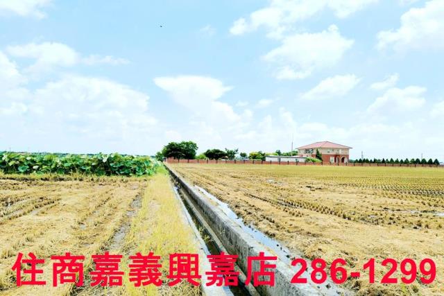 台南白河農地-9
