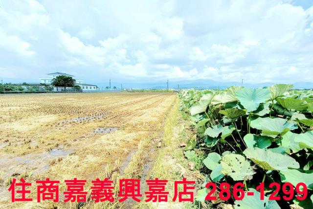 台南白河農地-10