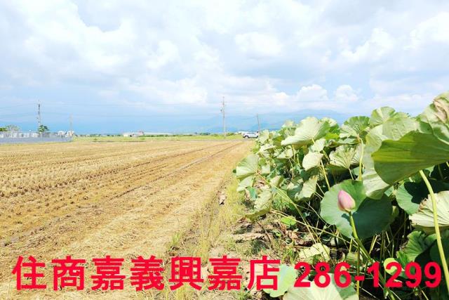 台南白河農地-11