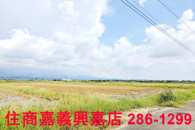 台南白河農地-0