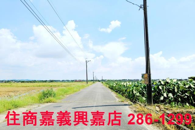 台南白河農地-2