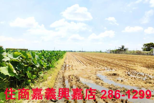 台南白河農地-3