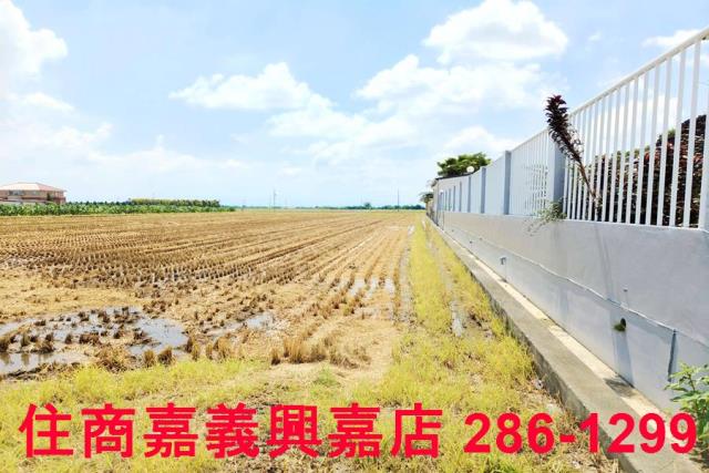 台南白河農地-4