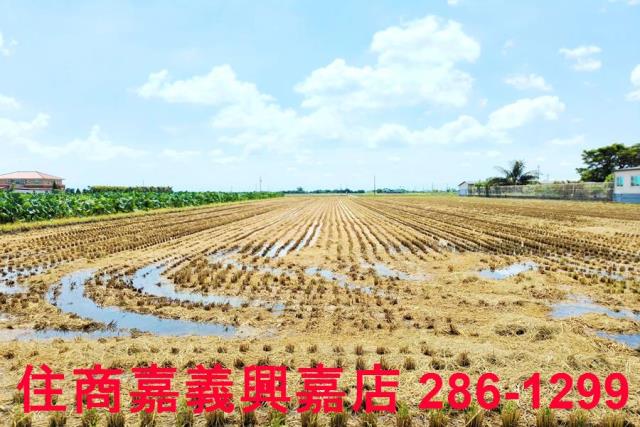 台南白河農地-5