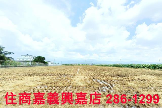 台南白河農地-6