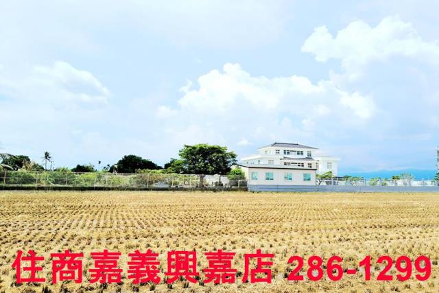 台南白河農地-7