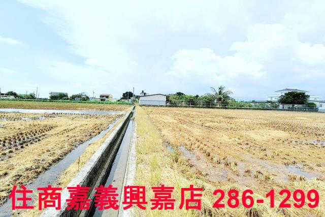 台南白河農地-8