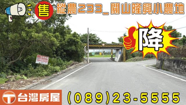台東農地台東房地產台東土地買賣台東房仲台東仲介海岸線農地