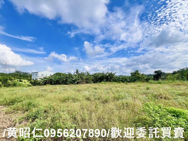 左鎮農地-1