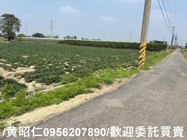 新市農地-9