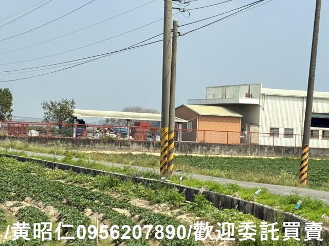 新市農地-10