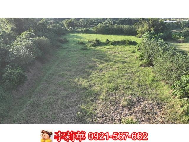 柳營農地-12