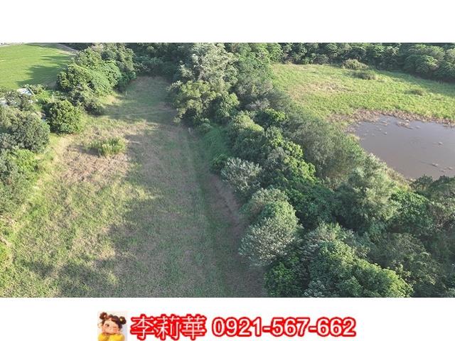 柳營農地-4
