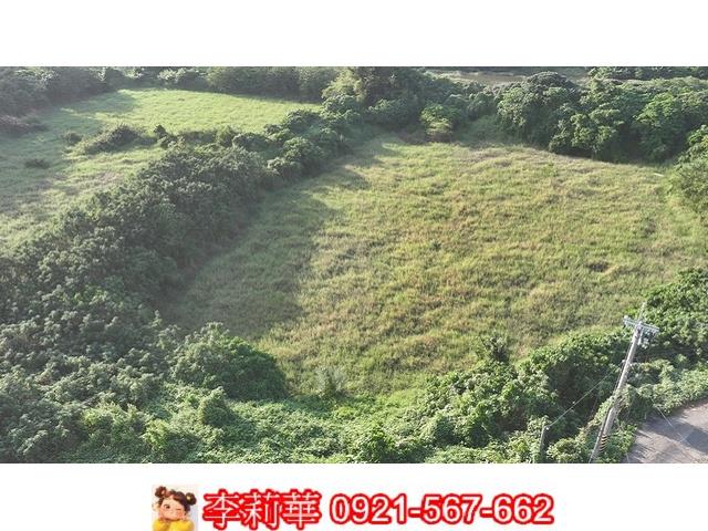 柳營農地-6