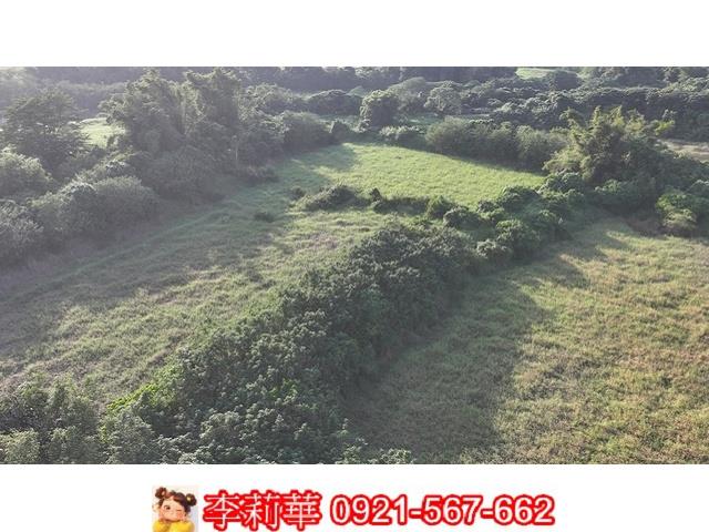 柳營農地-7