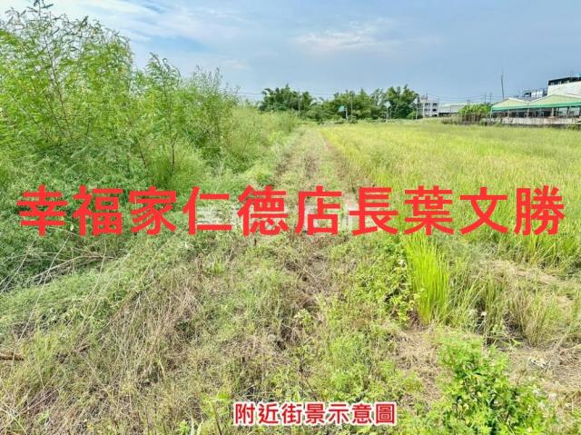 新化農地-10