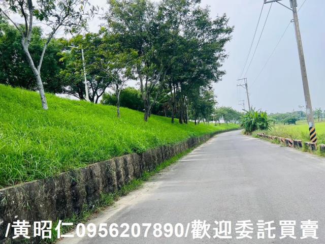 台南仁德農地-0