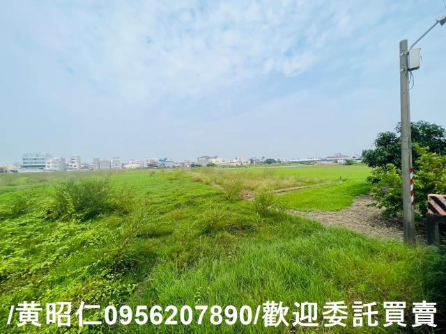 台南仁德農地-2