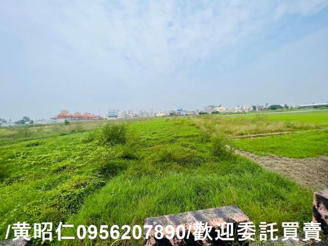 台南仁德農地-5