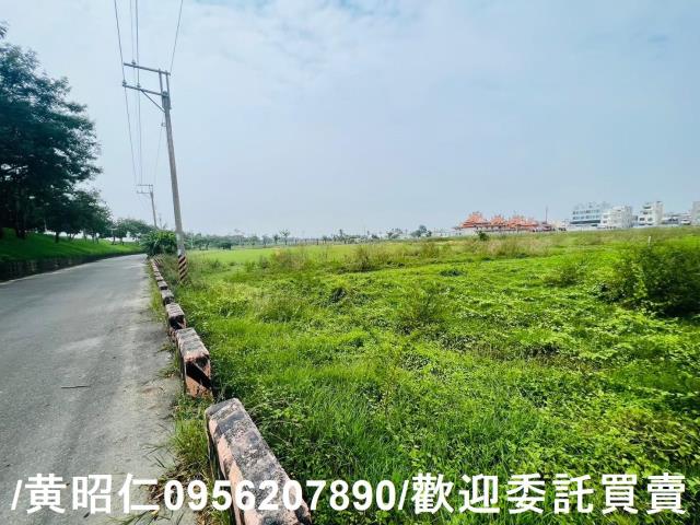 台南仁德農地-6