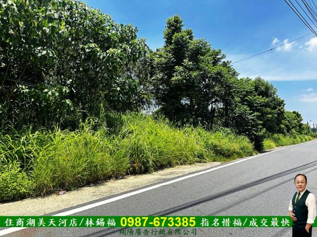 台南玉井農地-2