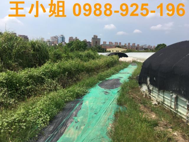 桃園桃園區農地-1