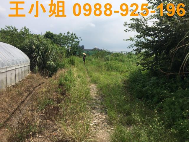 桃園桃園區農地-2