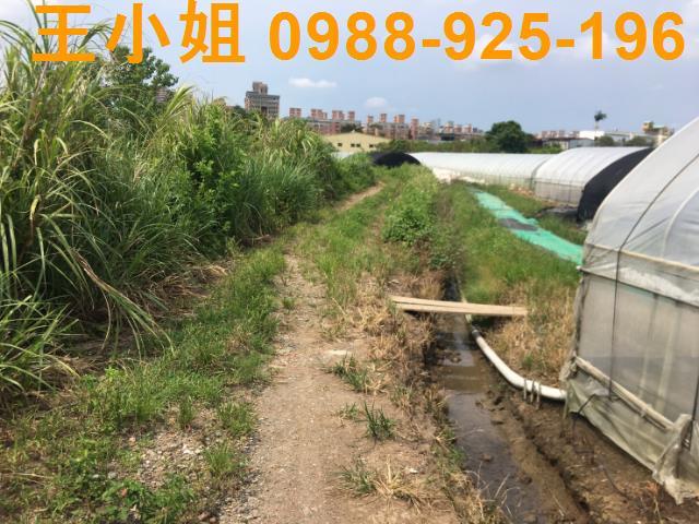 桃園桃園區農地-3