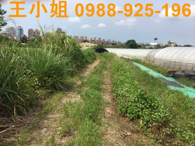 桃園桃園區農地-4