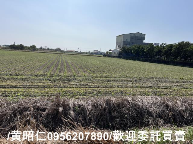台南七股農地-3