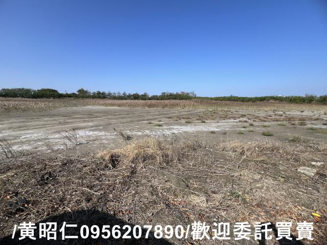 台南七股農地-4