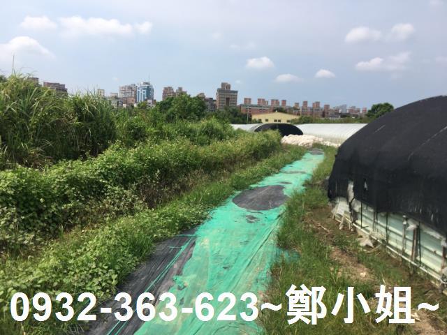 桃園區農地-1