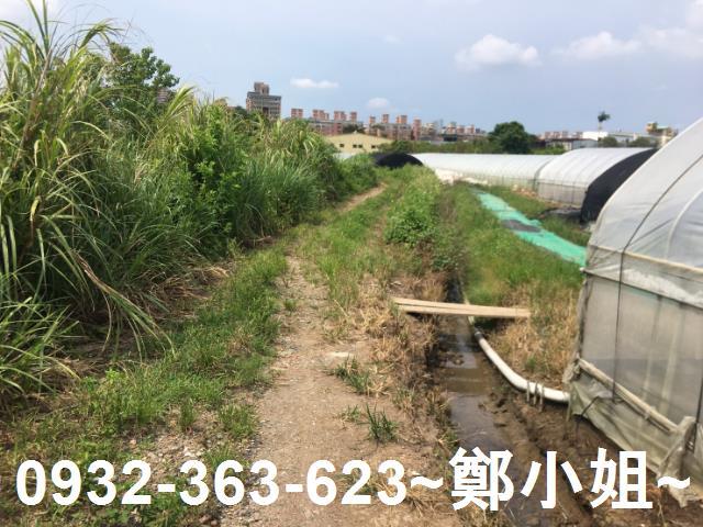 桃園區農地-4