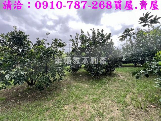 台南農地-9