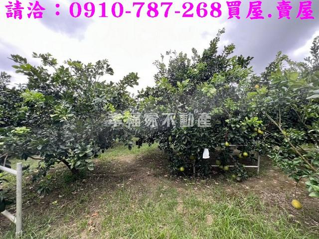 台南農地-11