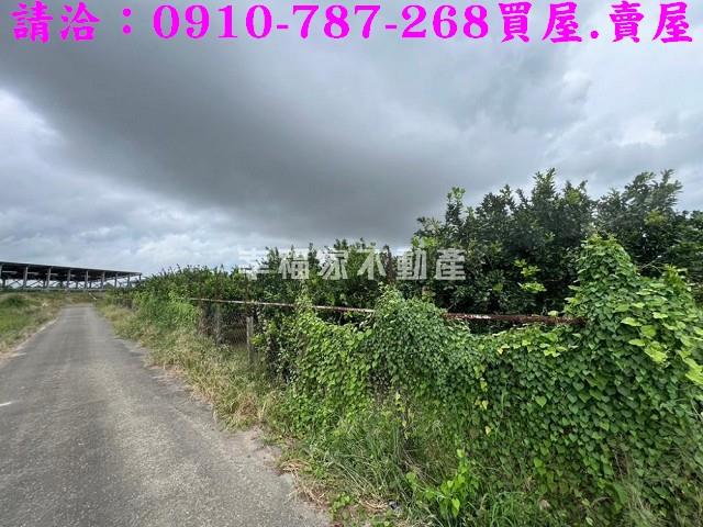 台南農地-8