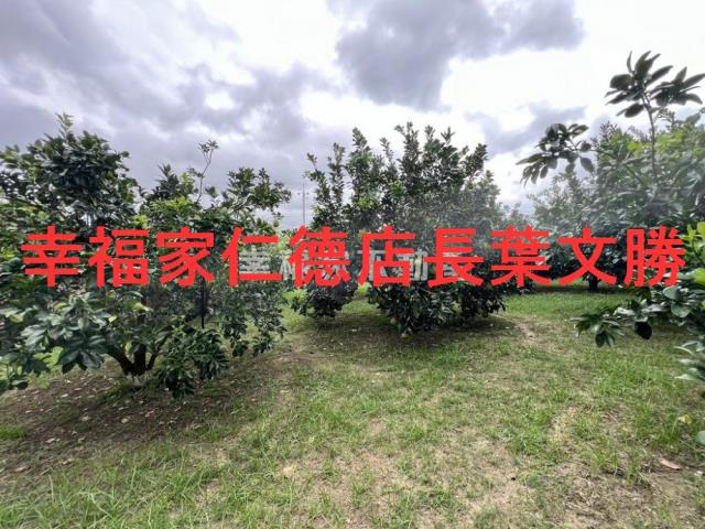 台南麻豆農地-1