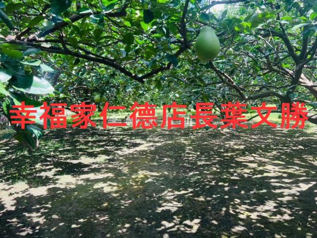 台南麻豆農地-6