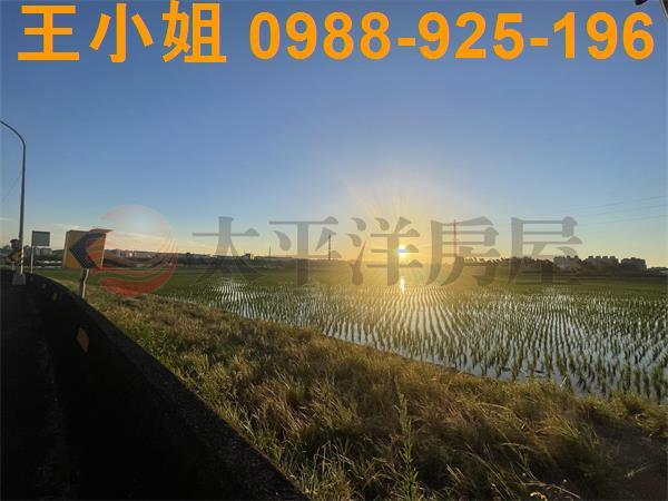 桃園平鎮農地-10