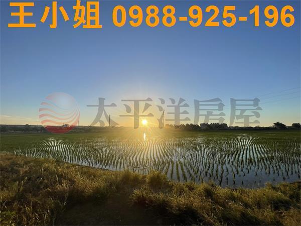 桃園平鎮農地-13