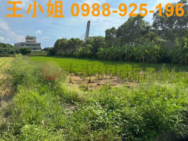 新屋農地-10