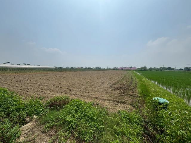 嘉義農地-3