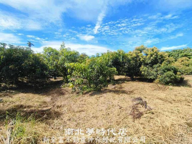 官田農地-4