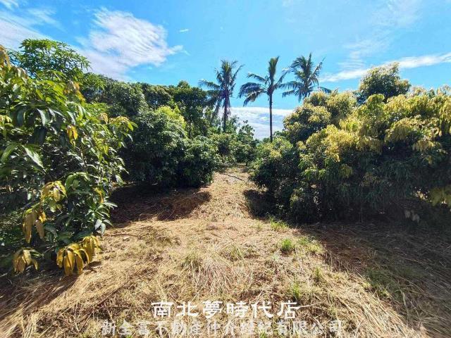 官田農地-5