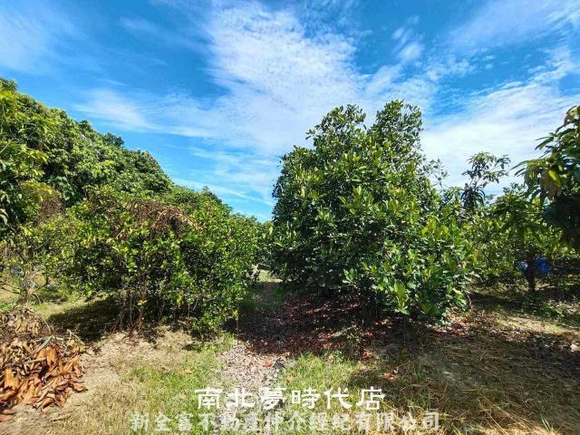 官田農地-6