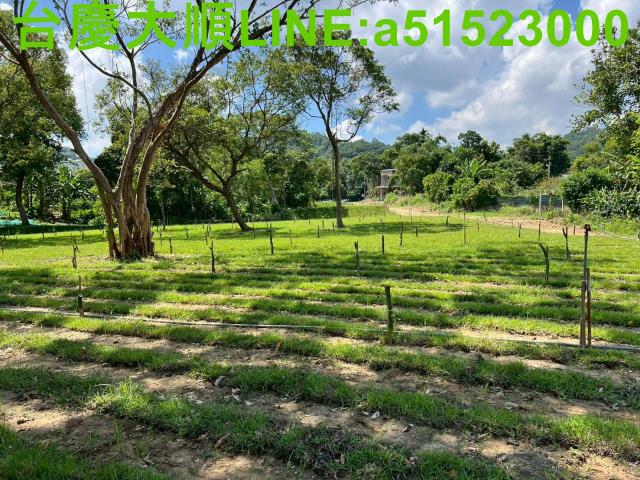 新竹農地-10