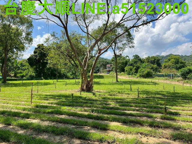 新竹農地-11