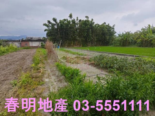 新竹芎林農地-2